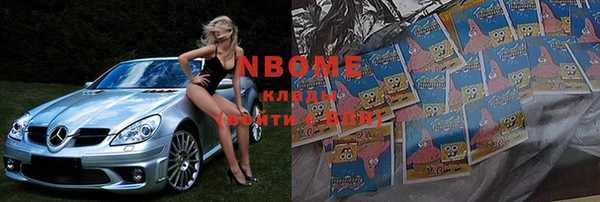 прущие грибы Покров