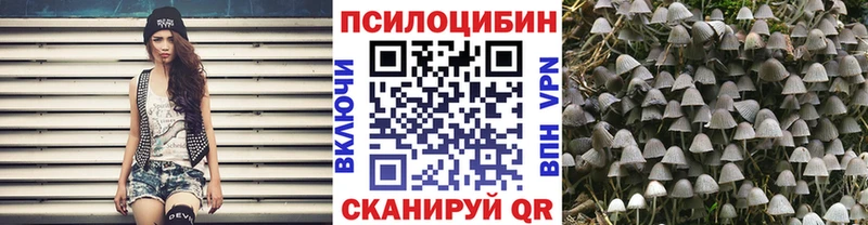 Псилоцибиновые грибы мицелий  Купить закладки  Орёл 